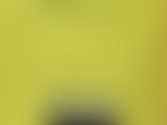 The Perks of Being a Wallflower