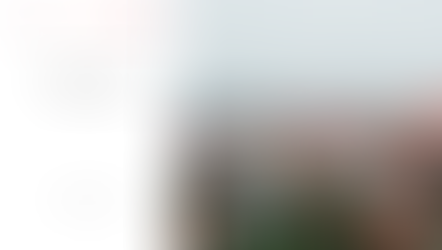 AMRO Annual Consultation Report, Cambodia 2018