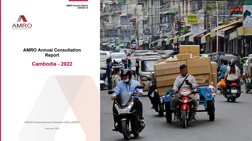 AMRO Annual Consultation Report, Cambodia 2022