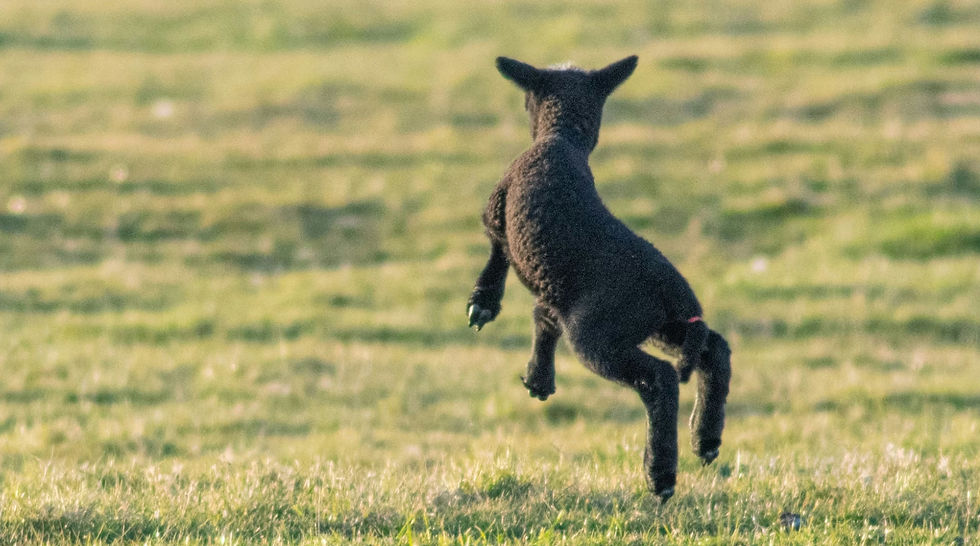 Photo by Jonathan Mabey on Unsplash
