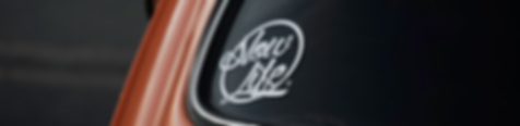 Slowlife Sticker