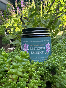 Buy Adaptogens tiny dragon tonics restored essence
