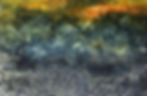 Masovian landscape