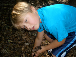 Mason and picking Black Trumpets 2011 in NH.jpeg