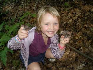 Ally and Black Trumpets 2011 in NH.jpeg