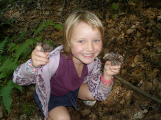 Ally and Black Trumpets 2011 in NH.jpeg
