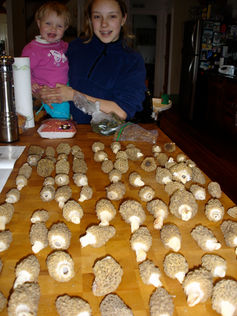 Emily and Ally with a haul of morels 2006.jpeg