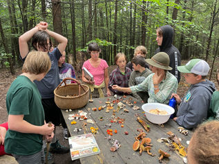 IDentifying mushrooms with children in VT 2021.jpeg