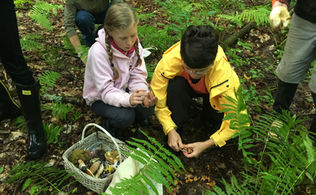 Showing children how to slice a mushroom when picking 2017.jpeg