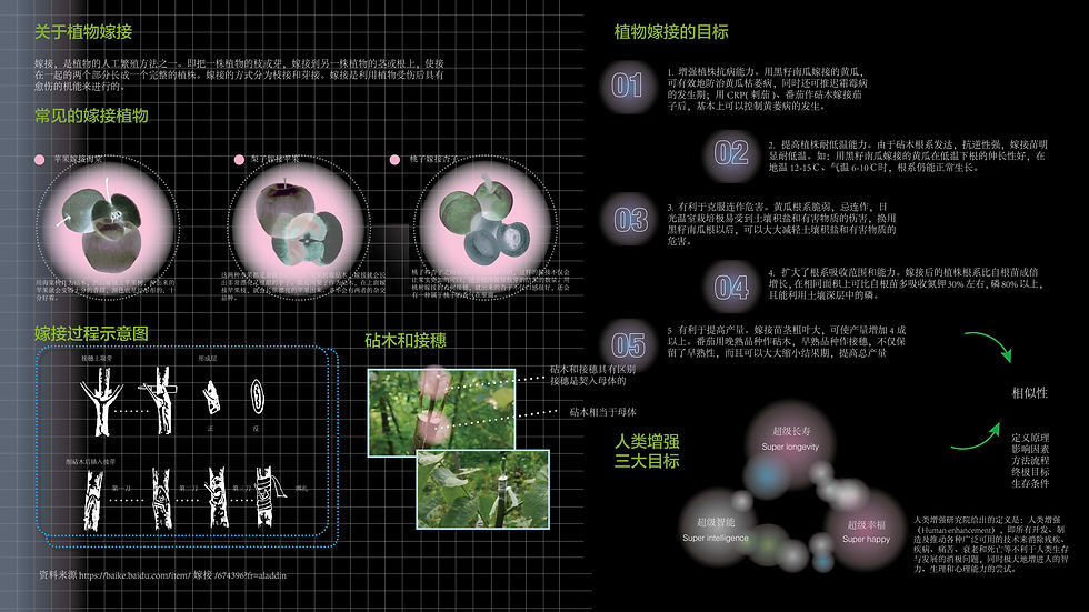 个人毕设2.jpg