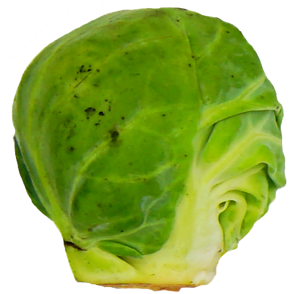 1_edited.png