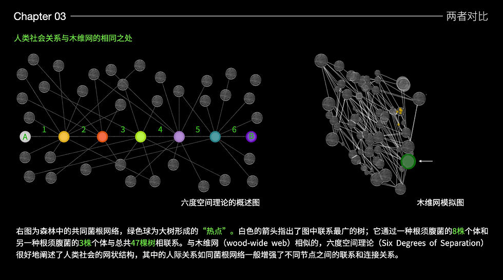 截屏2025-03-15 17.30.00.png
