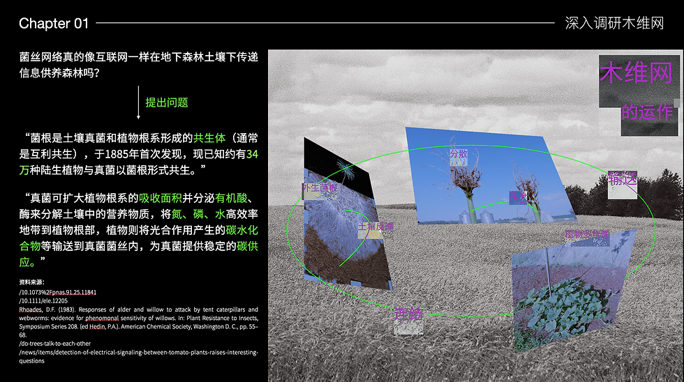 截屏2025-03-15 17.29.39.png