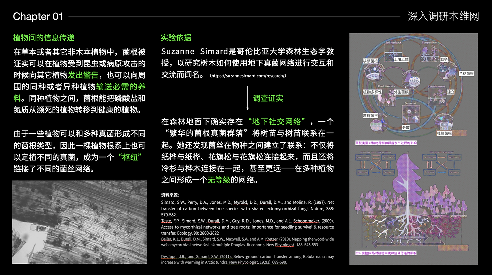 截屏2025-03-15 17.29.46.png