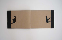 ARTIST BOOK OKAPI: PASS