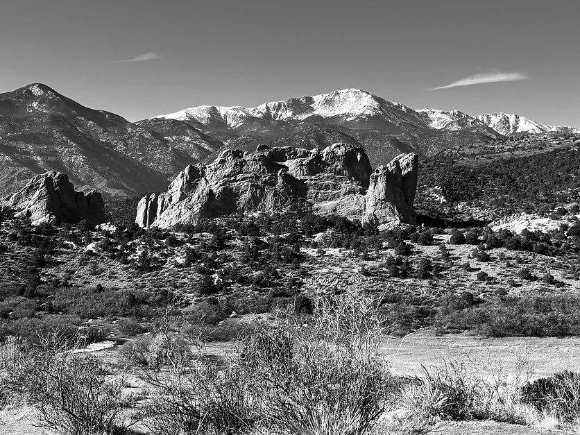 IMG_8013.jpg