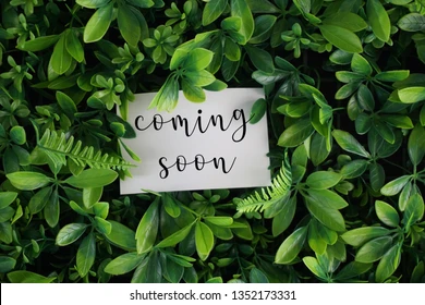 coming-soon-wording-on-white-260nw-1352173331.jpg.webp