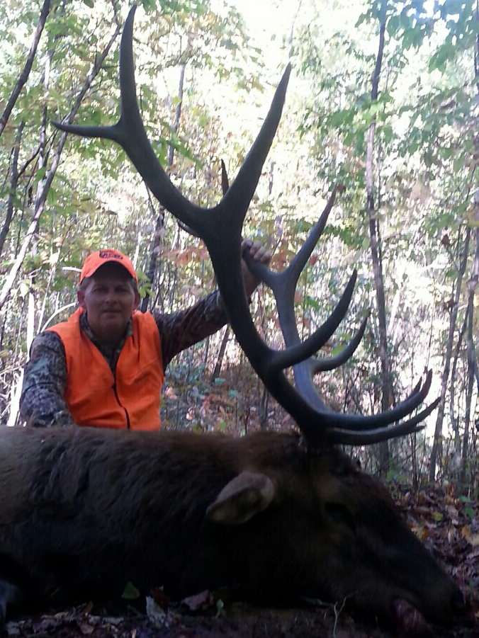 kentucky elk