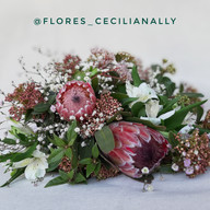 Flores Cecilia Nally