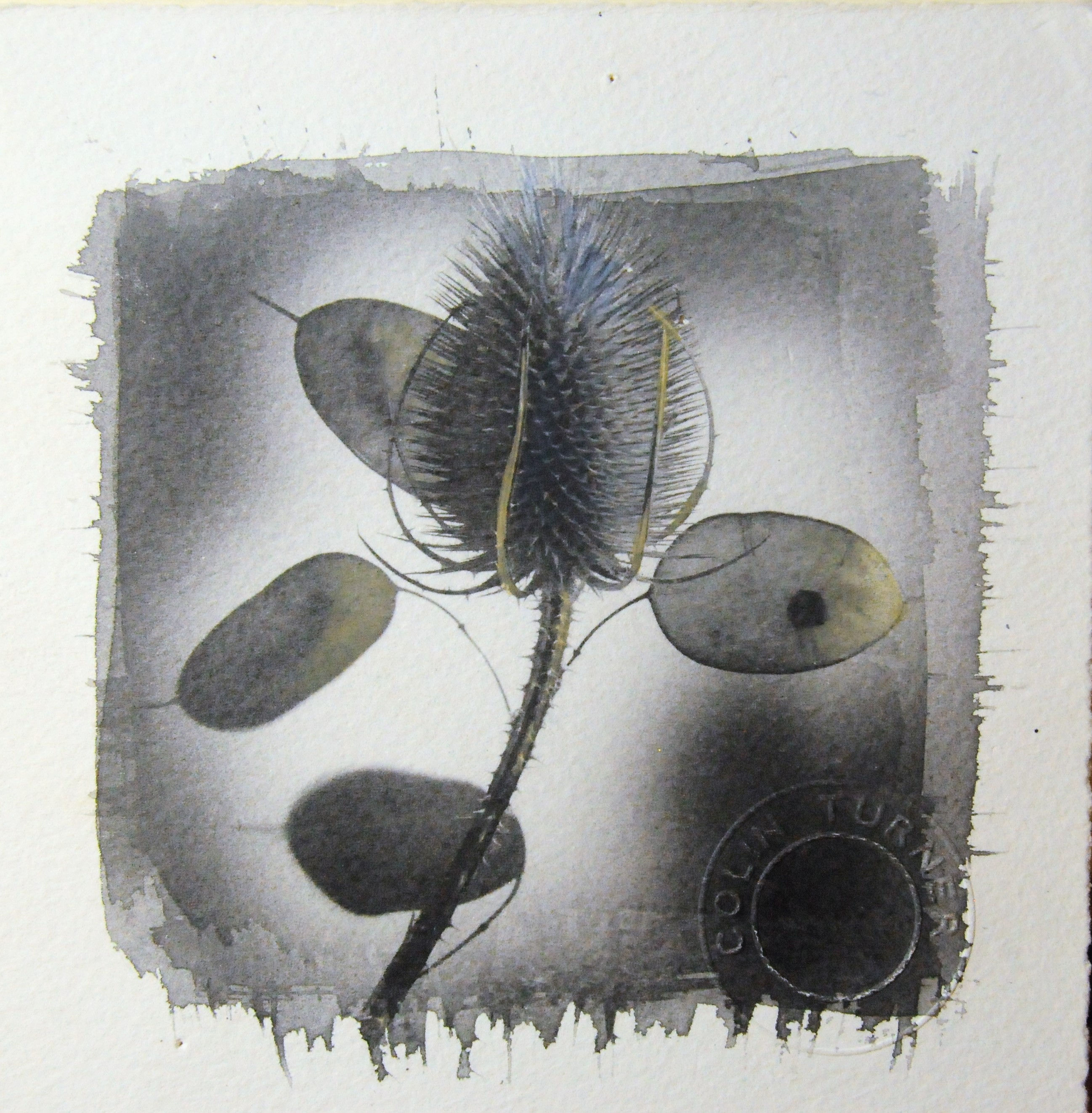 Colin Turner, 'lithograph with touch colouring'