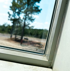 Window with P-Tek logo, tree, and background scenery on a bright day.