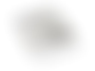 Newsletter "Fernwartbare Rauchwarnmelder"