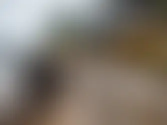 Retaining Wall Design Services Powell River: Protecting Homes and Land