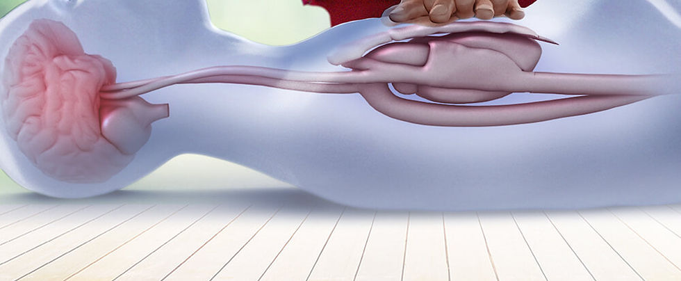 chest compressions.jpg