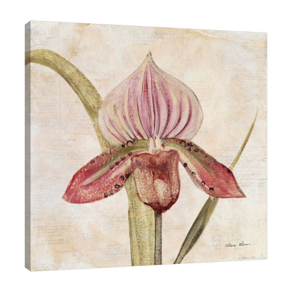 Orchid III by Cheri Blum