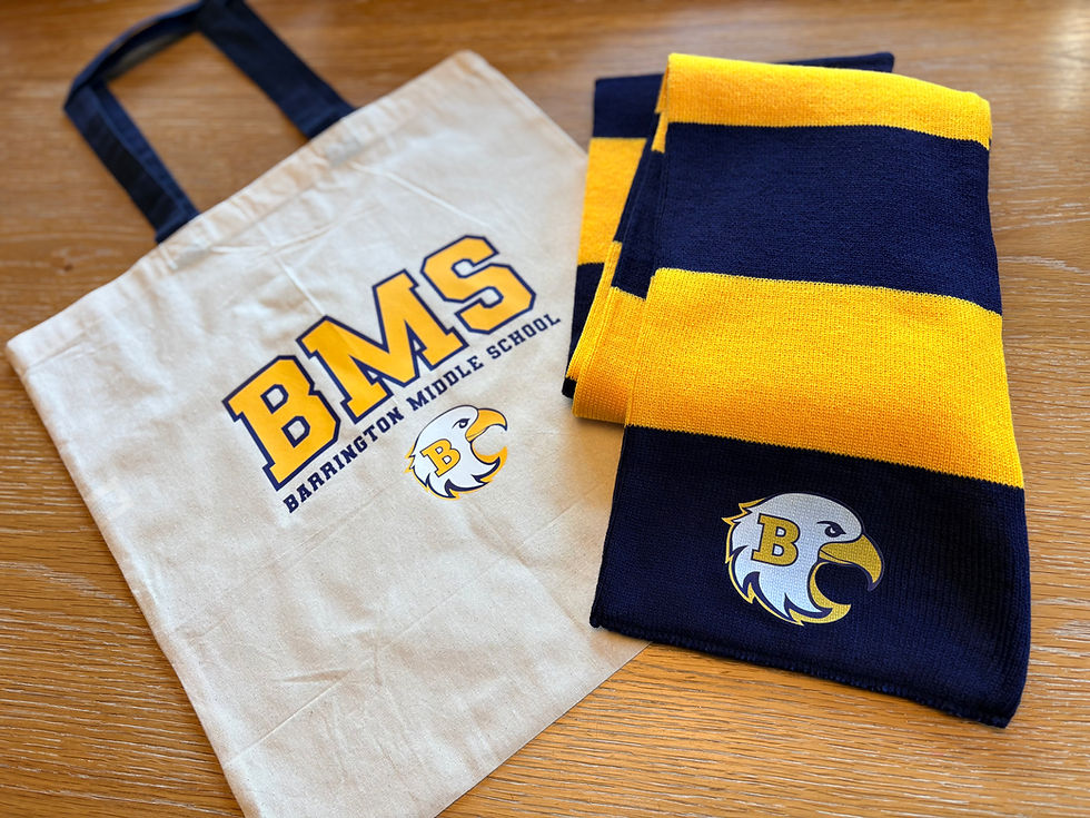 Thumbnail: Barrington Eagles 1 Scarf