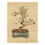 Thumbnail: Bonsai II by Cheri Blum
