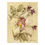 Thumbnail: Cymbidium by Cheri Blum