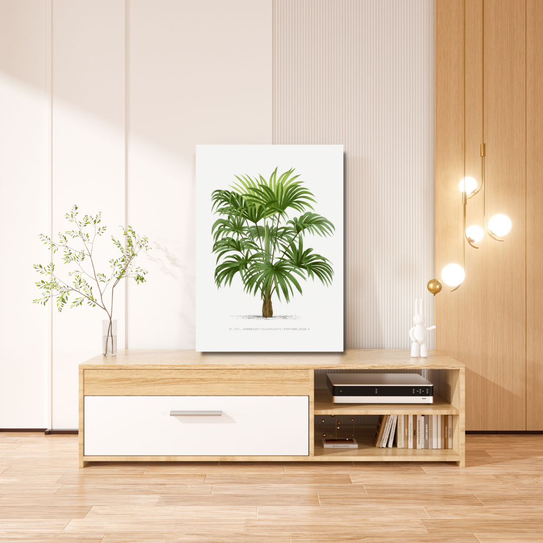 "Les Palmiers Histoire Iconographique 9" By Pieter Joseph de Pan