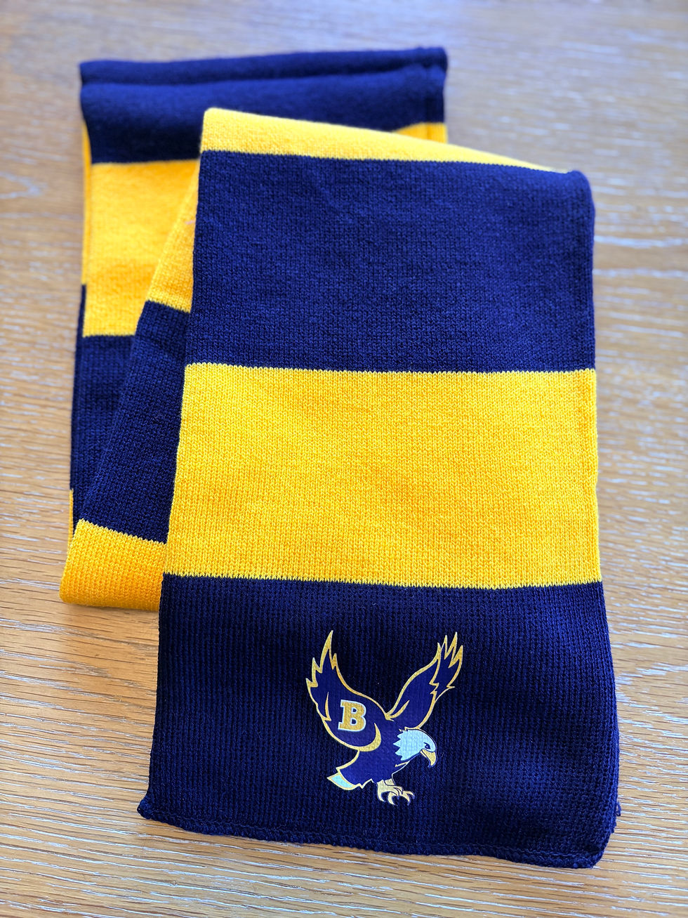 Thumbnail: Barrington Eagles 2 Scarf