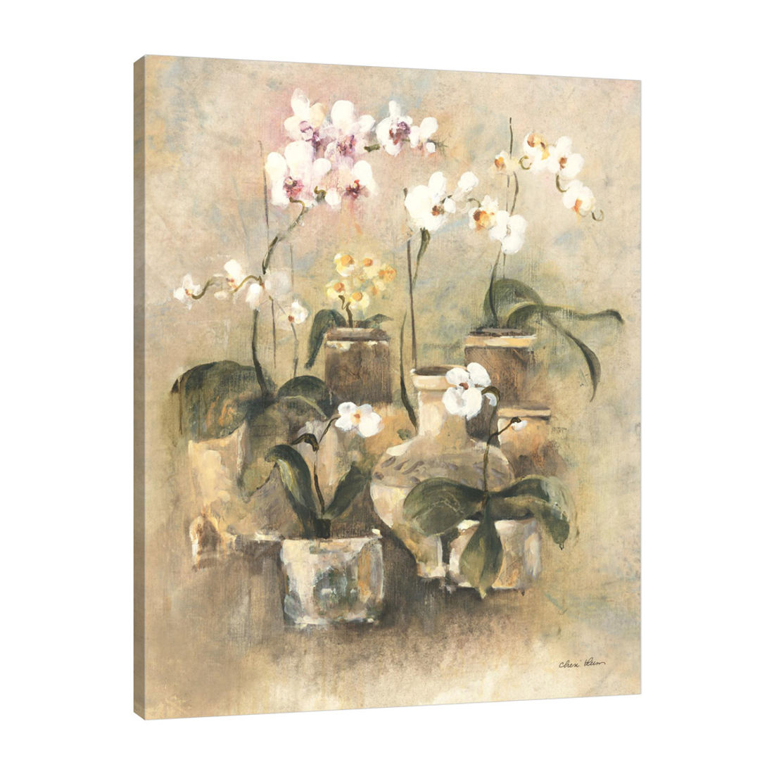 Arrangement of Orchids II by Cheri Blum