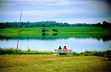 l'été du lac.jpeg