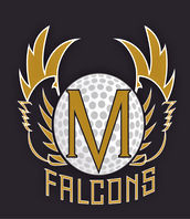 school-falcons.jpg