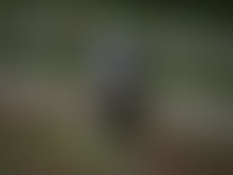 The Sexual Exploitation of Black Men During Slavery Is Rarely Discussed