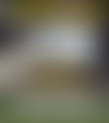 PAÑOLADA EN EL BERNABÉU #Pañolada #BastaYa