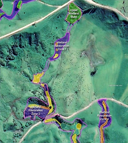 Wetland Zones_edited.jpg