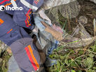 Trabalhador morre durante derrubada de árvore na zona rural de Rio Branco