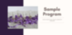 Samples Program (2).jpg