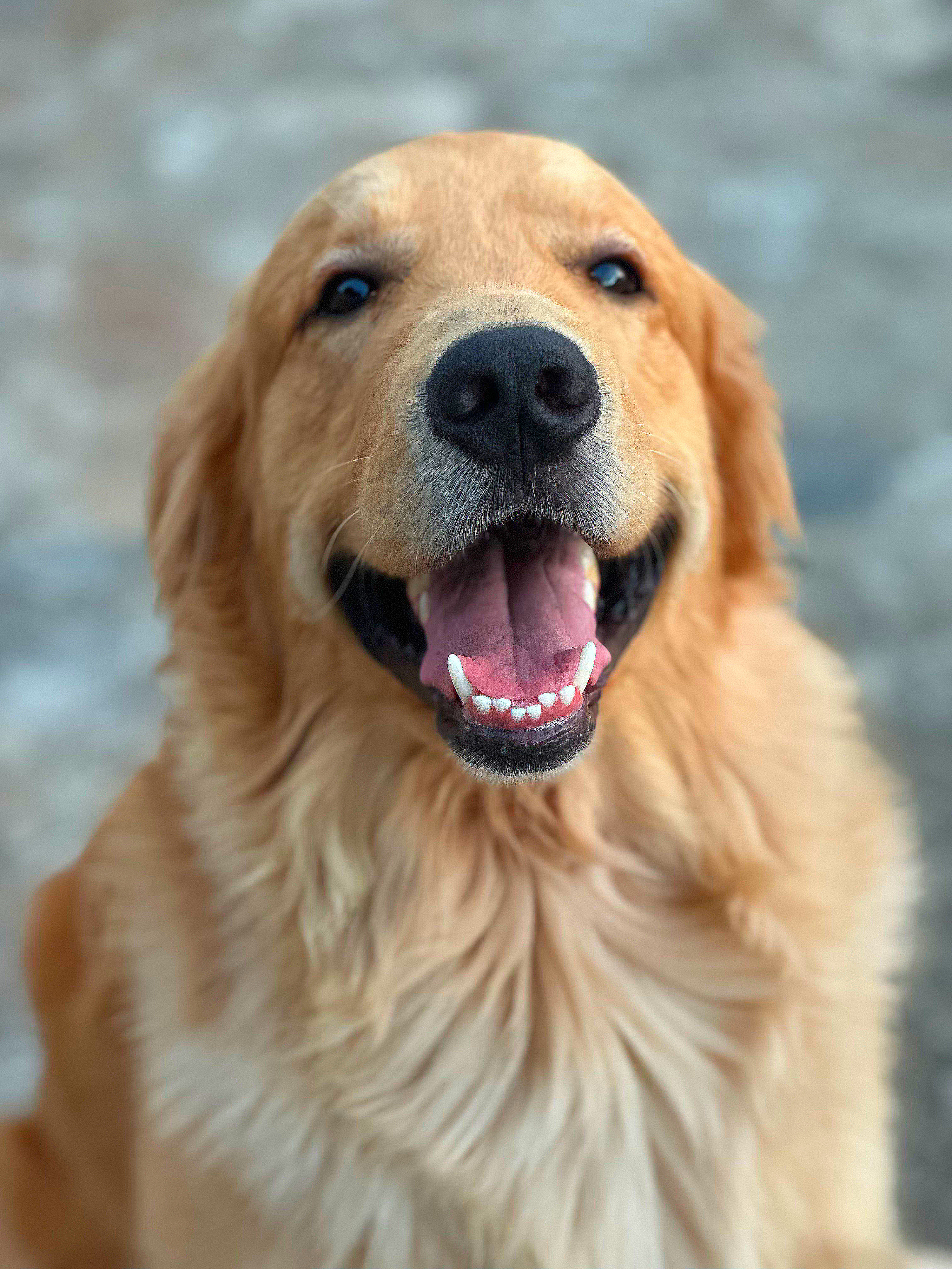 THOR