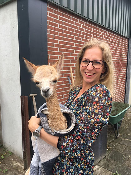 Enjoy Alpaca.jpeg