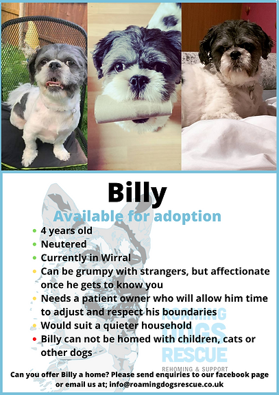 Billy Info-card (5).png