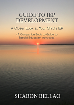 Guide to IEP Development.png