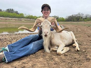 RAM1.jpeg