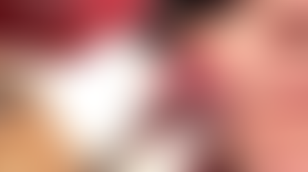 The Formation of Pets 4 G.I.s