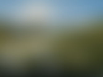 A serene meadow with white lilies, a wooden cross silhouetted against a bright sun. Rolling green hills under a clear blue sky.