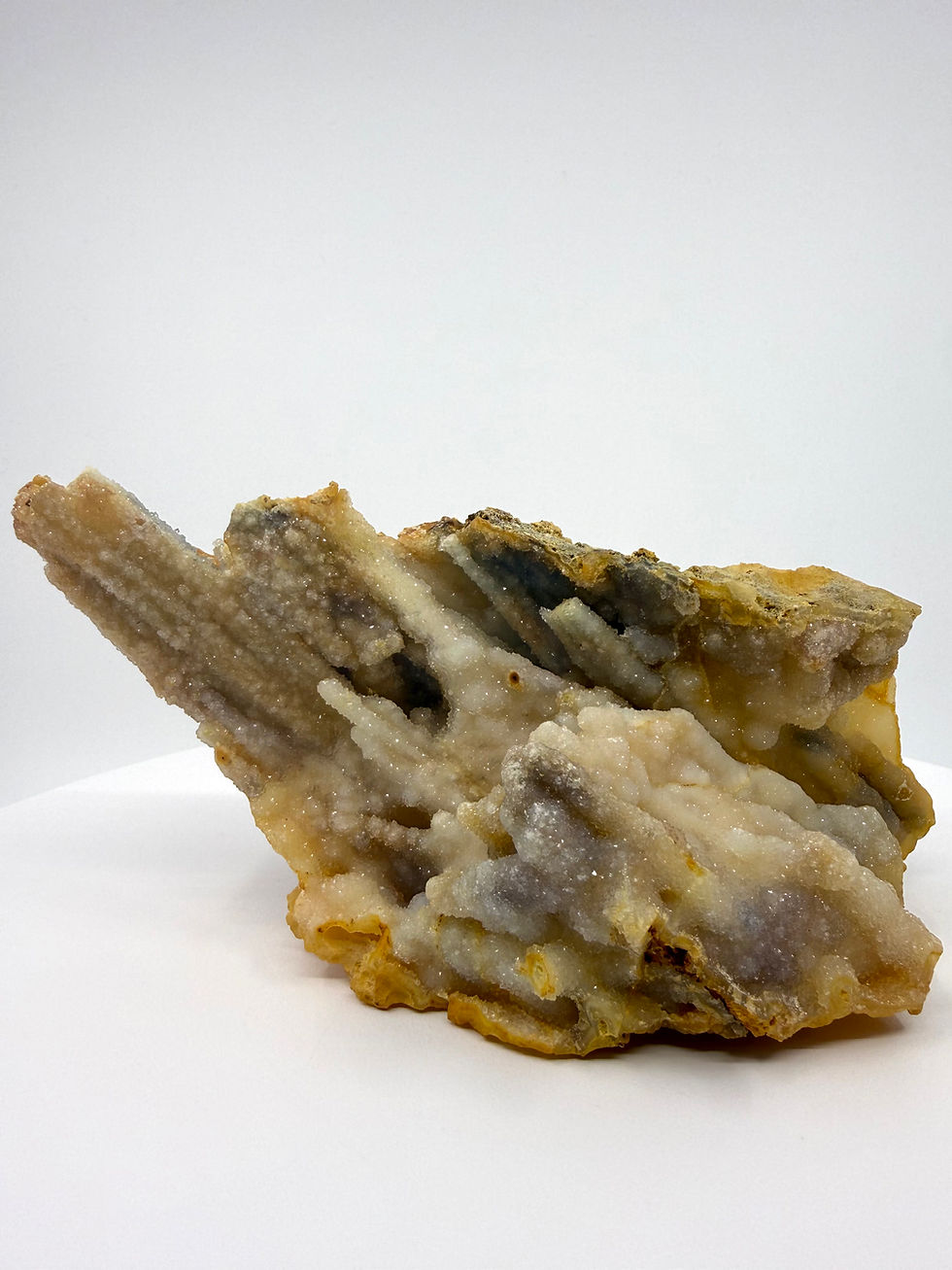Thumbnail: Druzy Fossilized Bamboo
